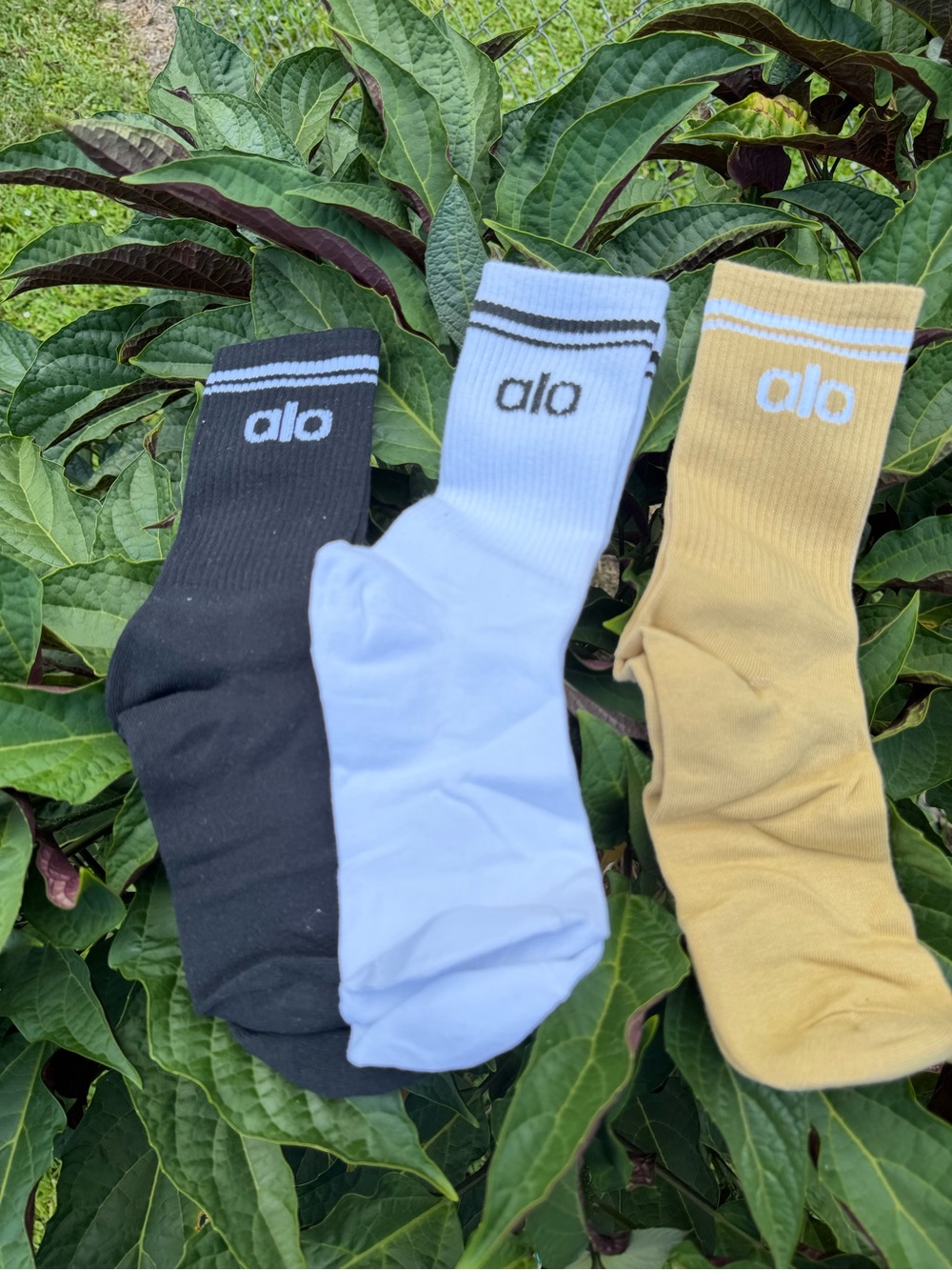 ALO Yoga Crew Socks - White, Mustard, Black (3-Pack) - Picture 6 of 6